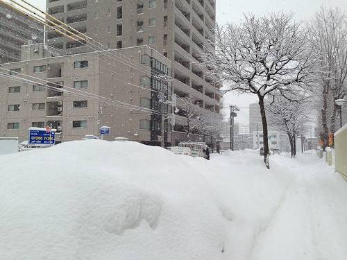 2013-12-30 08.56.20.jpg